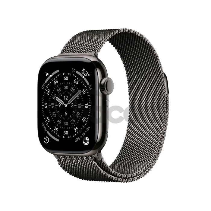 Apple Watch S11 Cell/42/Elegant Band/Slate
