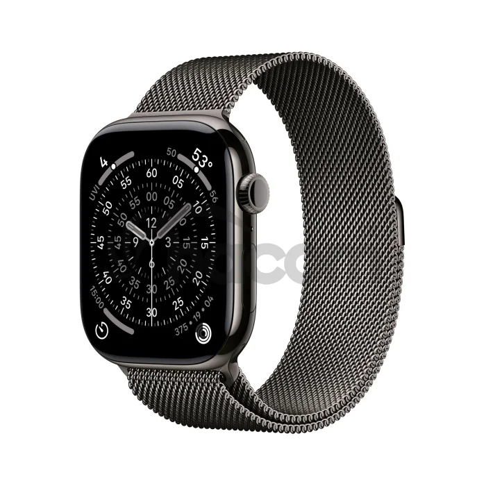 Apple Watch S11 Cell/46/Elegant Band/Slate