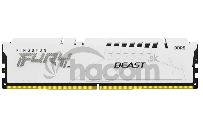 Kingston FURY Beast EXPO/DDR5/16GB/6800MHz/CL34/1x16GB/White