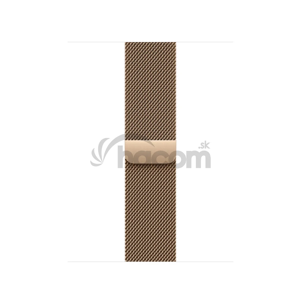 Watch Acc/42/Gold Milanese Loop