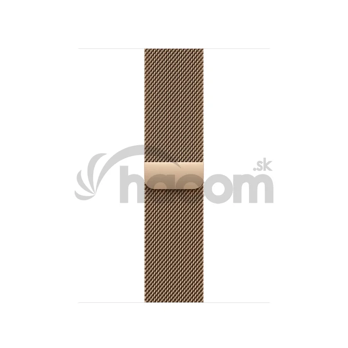Watch Acc/42/Gold Milanese Loop