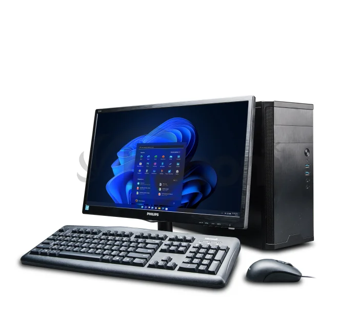 Premio Professional A450 (AM4)