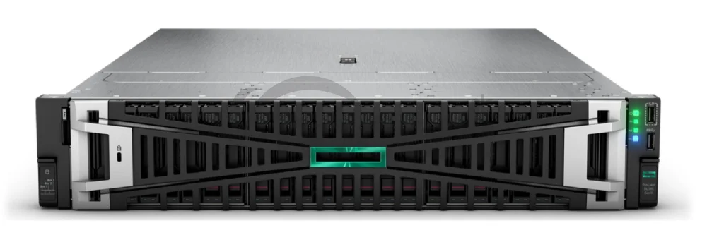 HPE DL385 G11 9015, 64 GB, 2 x 480 GB SSD