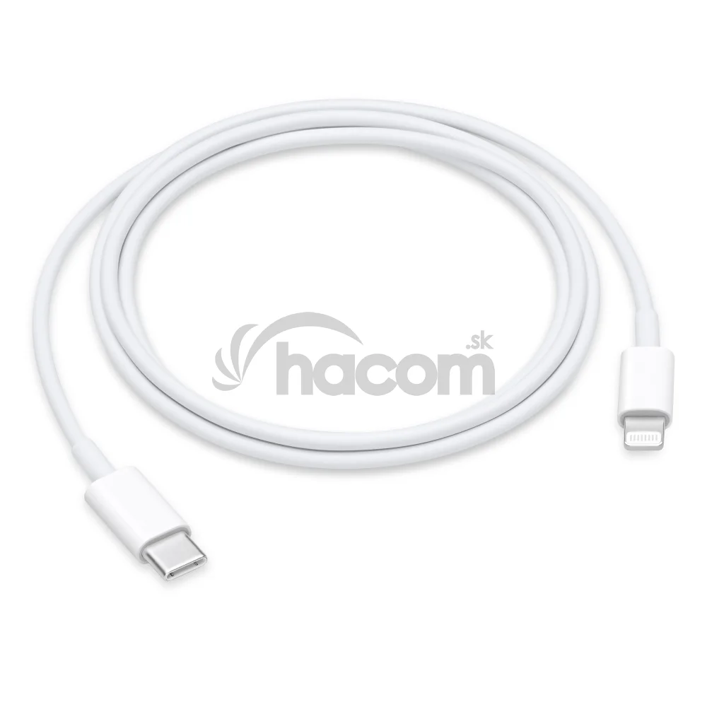 USB-C to Lightning Cable (1 m)