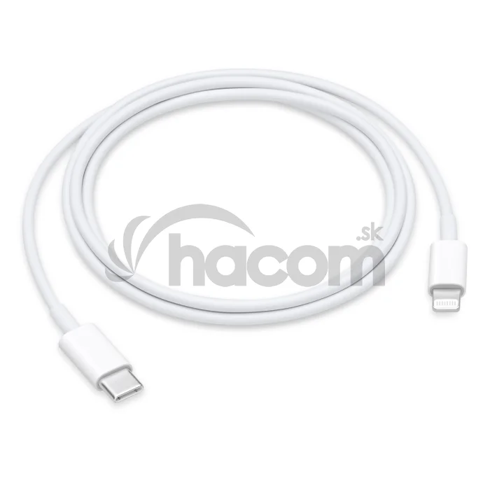 USB-C to Lightning Cable (1 m)