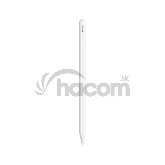 Apple Pencil (Gen 2)
