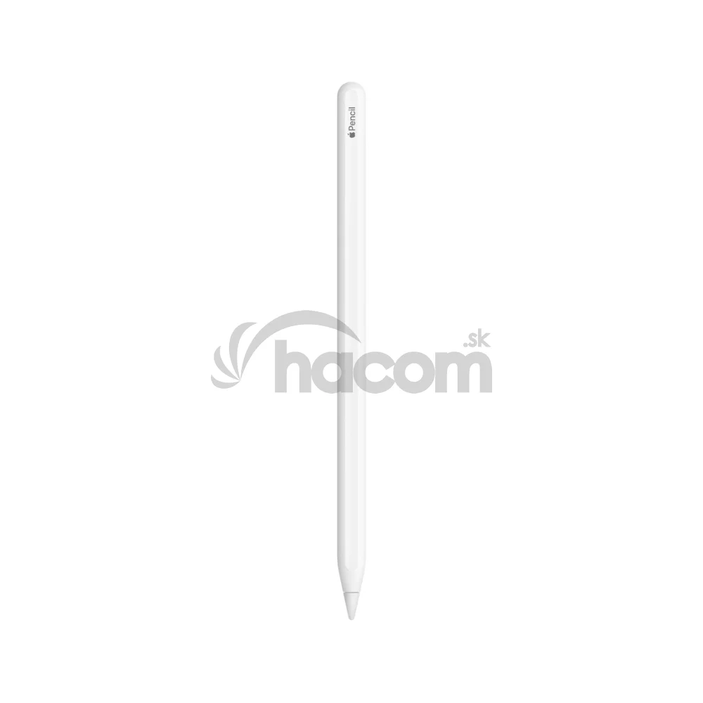 Apple Pencil (Gen 2)