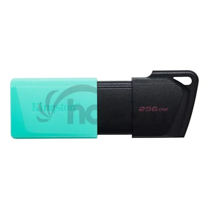256GB Kingston USB 3.2 (gén 1) DT Exodia M