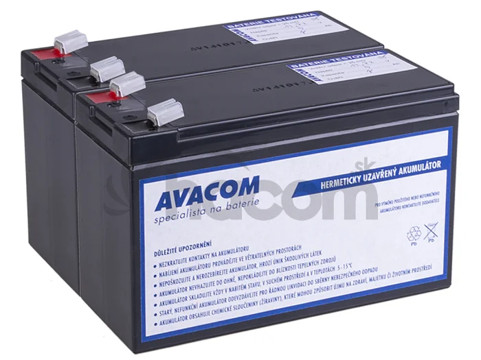 Batériový kit AVACOM AVA-RBC124-KIT náhrada pre renováciu RBC124 (2ks batérií)
