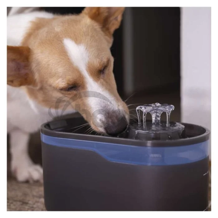 Vodná fontána Pet Care, 2,6 l, sivá