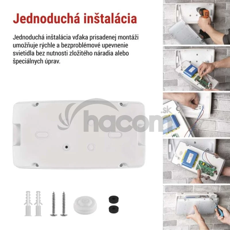 LED Núdzové svietidlo NESSI 10W 3h IP66