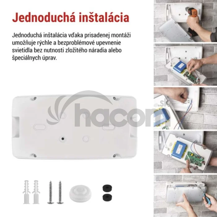LED Núdzové svietidlo NESSI 10W 3h IP66
