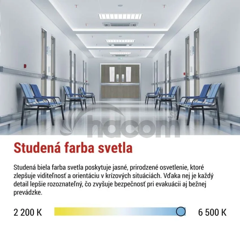 LED Núdzové svietidlo NESSI 4W 3H IP66