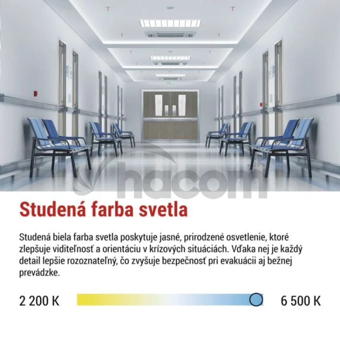 LED Núdzové svietidlo NESSI 4W 3H IP66
