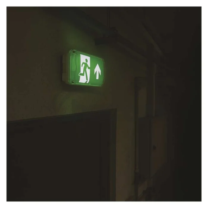 LED Núdzové svietidlo NESSI 3W 3H IP66