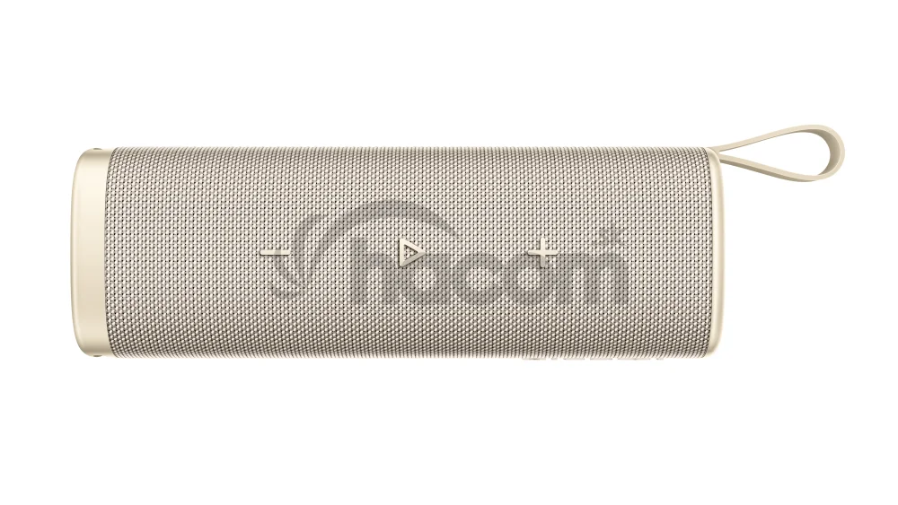 Xiaomi Sound Outdoor (30W) GOLD