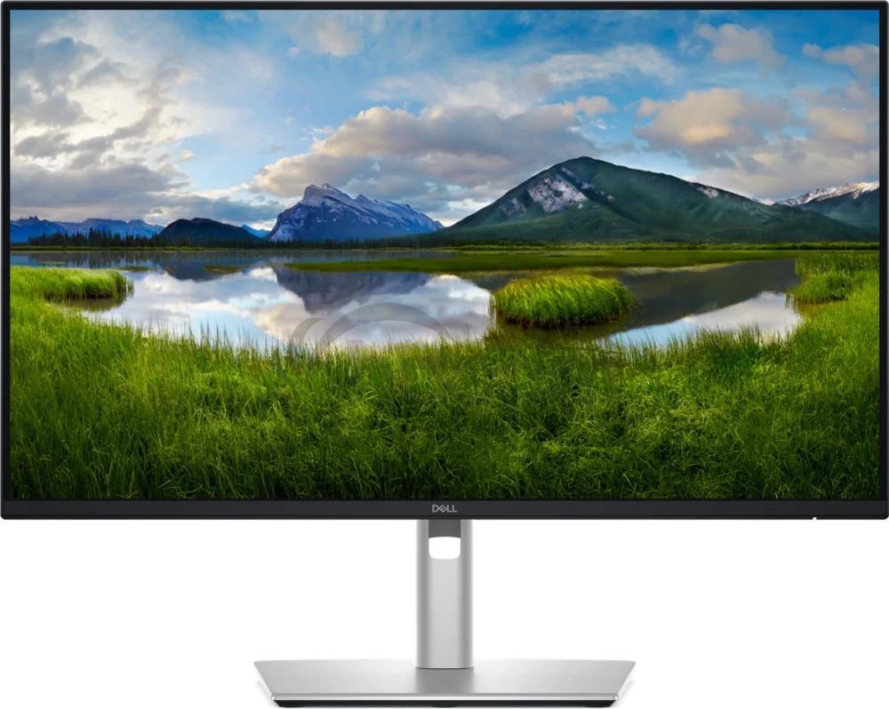 Dell Pro Plus/P2425DE/23,8"/IPS/QHD/100Hz/5ms/Blck-Slvr/3R