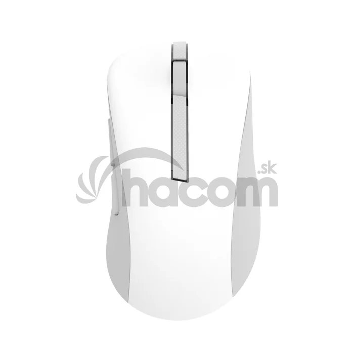ASUS Wireless Mouse MD102/Kancelárska/Optická/Pre pravákov/1 600 DPI/USB+BT/Biela
