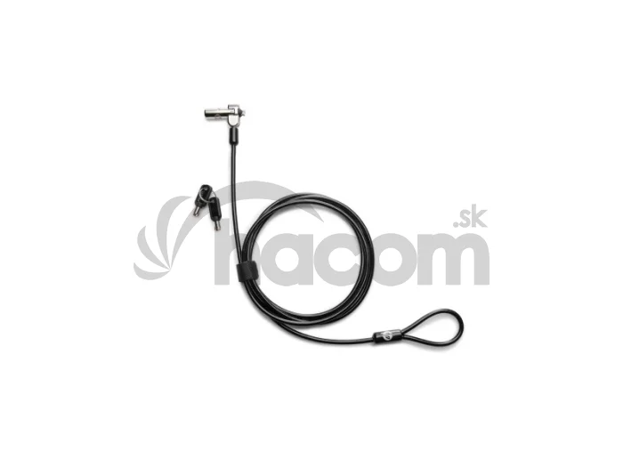 HP Nano Keyed Cable Lock (x2)