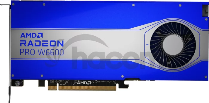 HP AMD Radeon Pro W6600/8GB/GDDR6