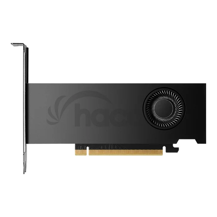 PNY NVIDIA RTX 2000 Ada Generation/16GB/GDDR6