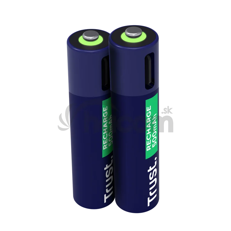 TRUST USB-C RECHARGEABLE BATTERIES 2P - AAA