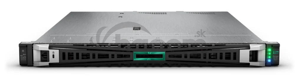 HPE DL320 G11 4510, 64 GB, 2 x 480 GB NVME, MR408i-o