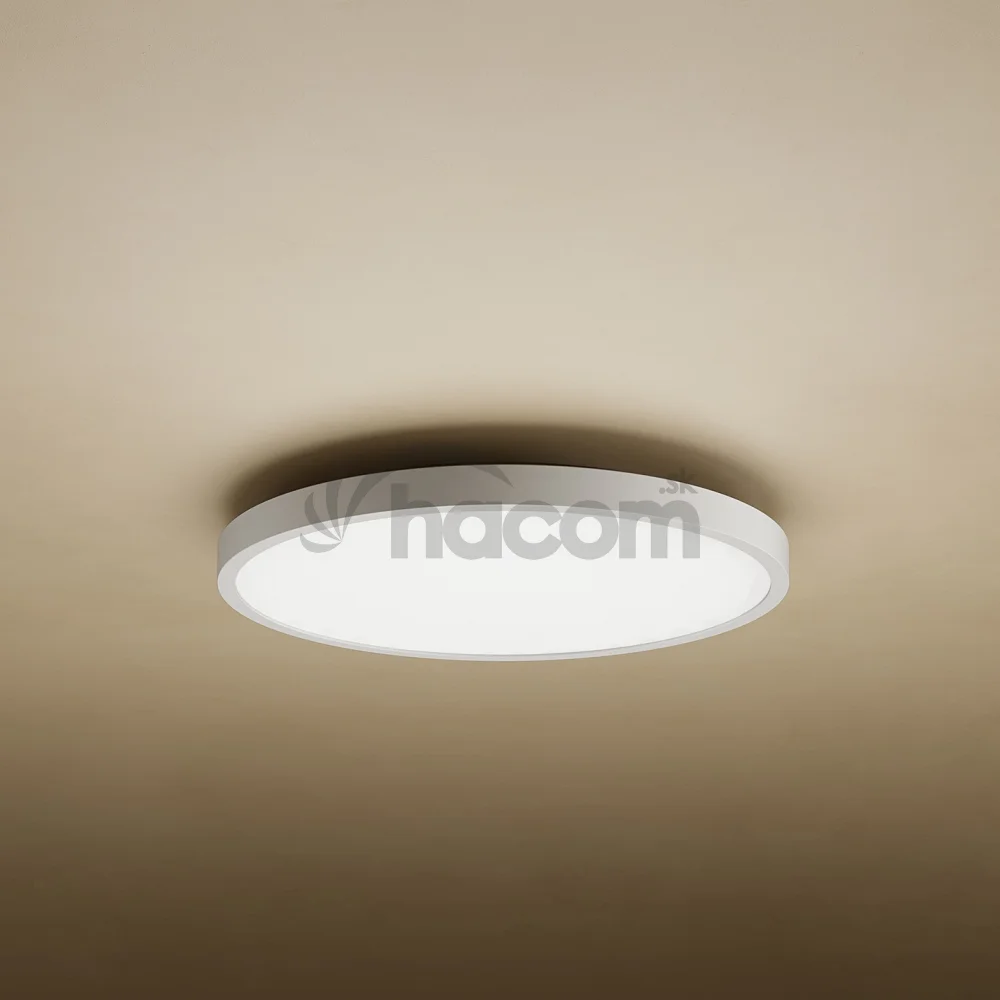 Xiaomi Mi Smart LED Ceiling Light D20
