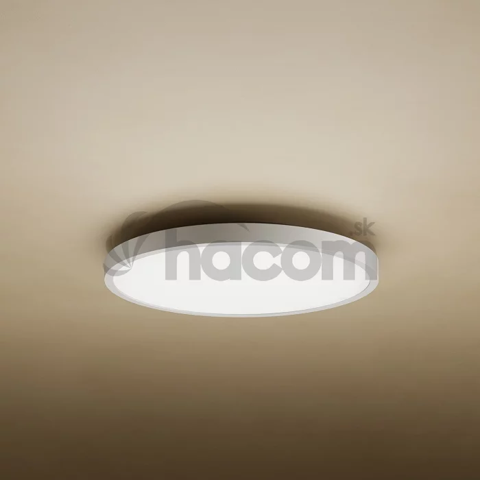 Xiaomi Mi Smart LED Ceiling Light D20