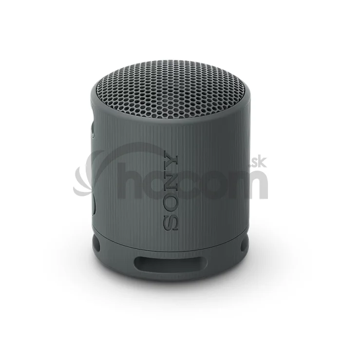 Sony SRS-XB100/Mono/Čierna