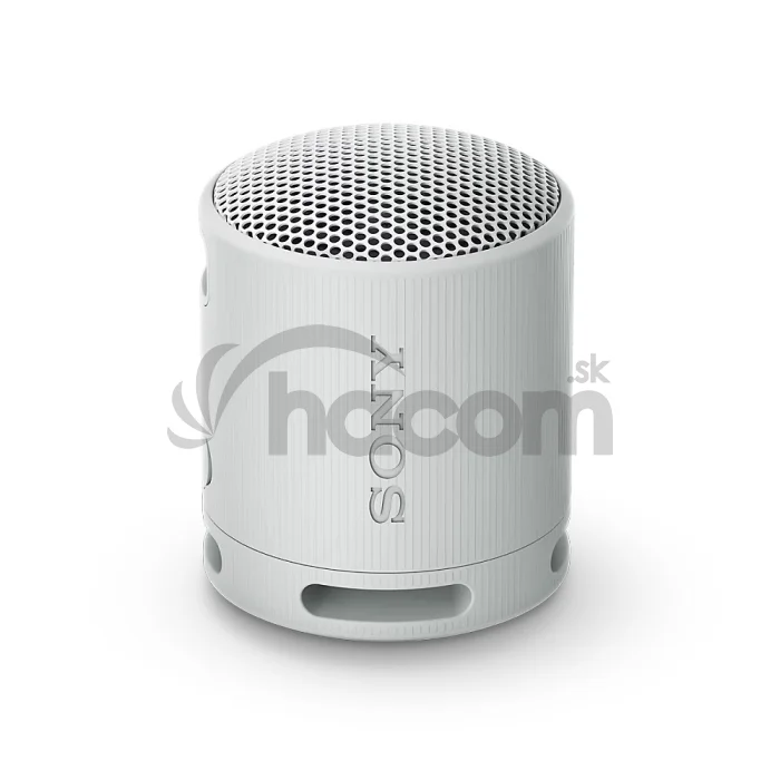 Sony SRS-XB100/Mono/Sivá