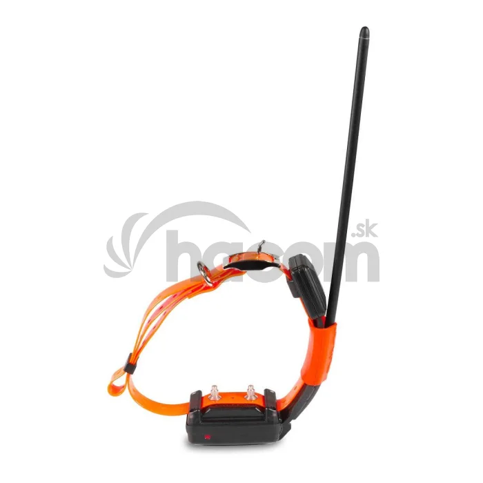 Kratší obojok pre ďalšieho psa - DOG GPS X30T Short - Oranžová