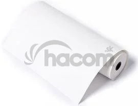 Termo papier (role 30m - 6 ks)