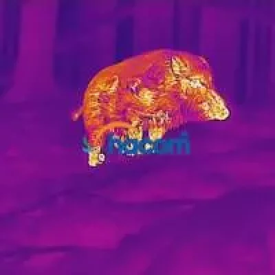 Viete, čo je termovízia?