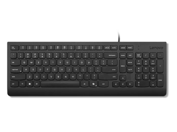 Lenovo Essential Wired Keyboard (Black) - Slovak 245/PS/2/ SK/Čierna