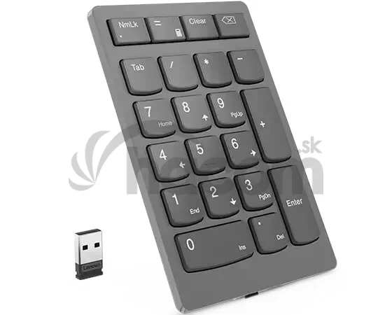 Lenovo GO/Bezdrôtová USB/Šedá