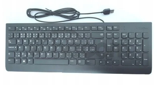 Lenovo Essential Wired Keyboard/Drátové USB-A/CZ/SK/Černá