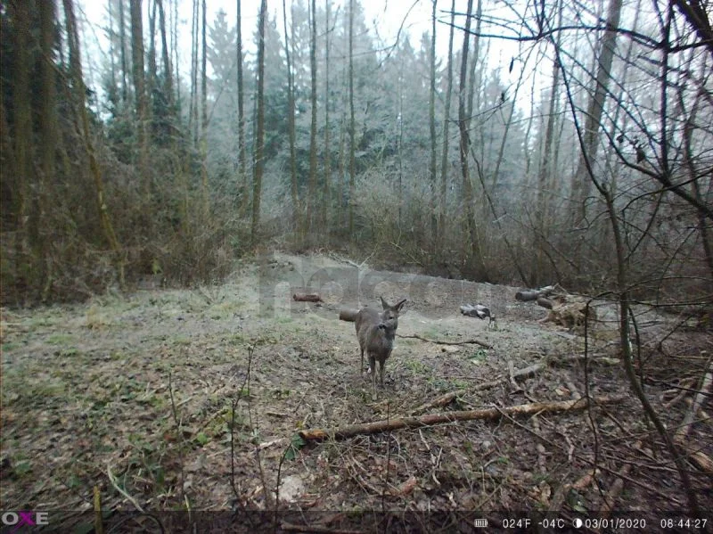 Fotopasca OXE Panther 4G
