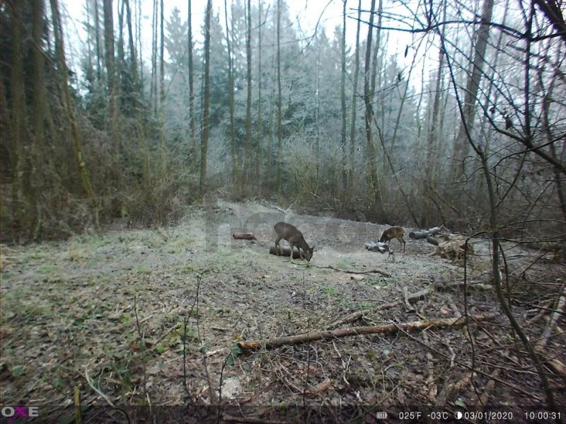 Fotopasca OXE Panther 4G