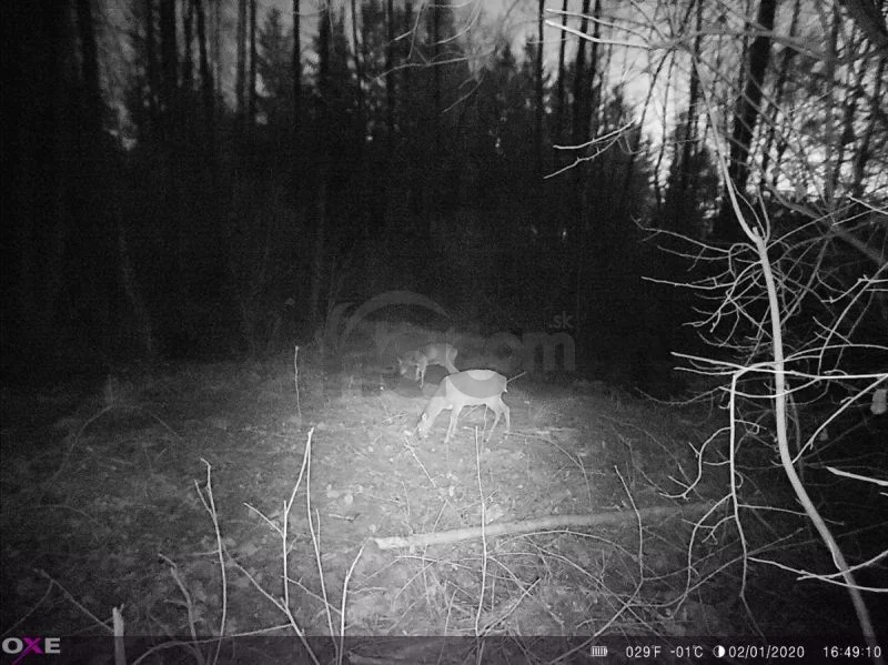 Fotopasca OXE Panther 4G