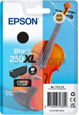 Epson Singlepack Black 250XL ink
