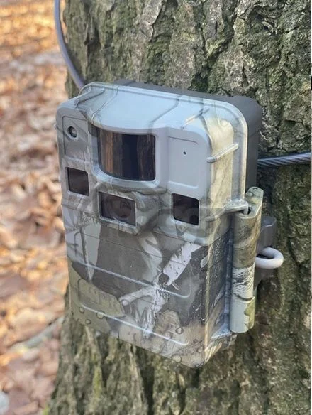 Fotopasca TETRAO S68 36 Mpx 940 nm - 2K video