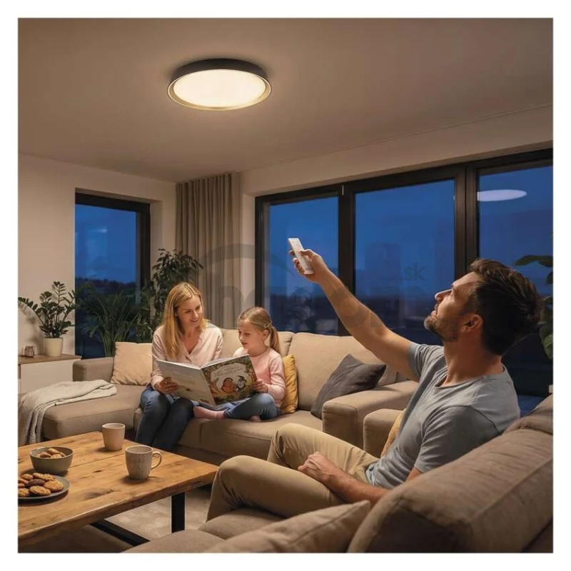 LED nástenné svietidlo ILVI, kruhové 30 W, stmievanie + CCT, čierna + šampanská