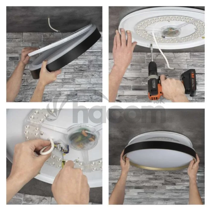 LED nástenné svietidlo ILVI, kruhové 30 W, stmievanie + CCT, čierna + šampanská