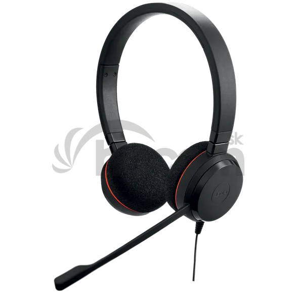 Jabra Evolve 20/Stereo/USB-C/Drôt/MS/Čierna