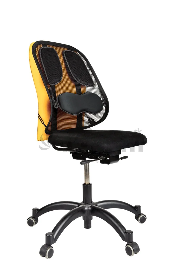 Fellowes Chrbtová opierka Profesional sieťovaná