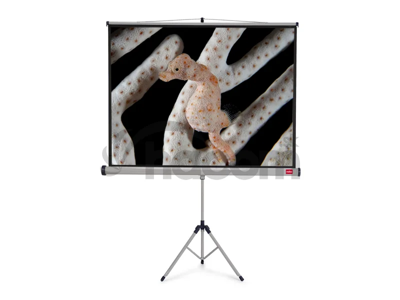 NOBO Tripod plátno š200 x v151 -matný biely,4:3
