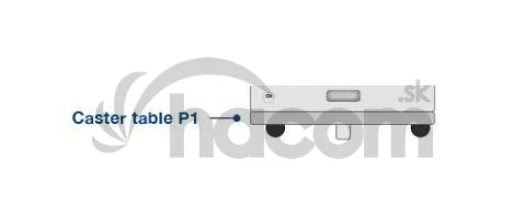 Epson Caster Table-P1