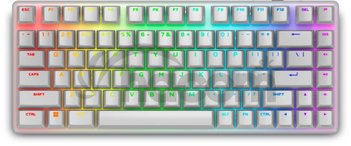 Alienware/Bezdrôtová USB + Bluetooth/IE layout/Biela