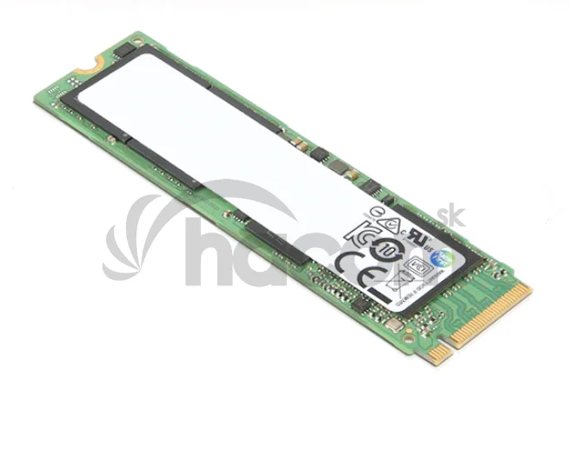 ThinkPad/1TB/SSD/M.2 NVMe/1R
